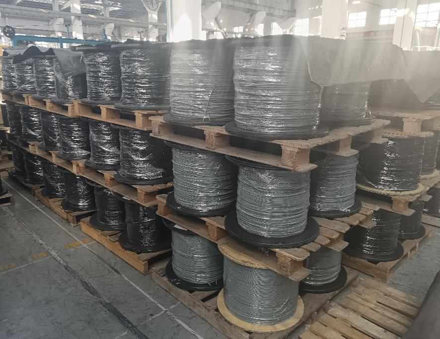 1741489620577916.png 1741489620577916.png