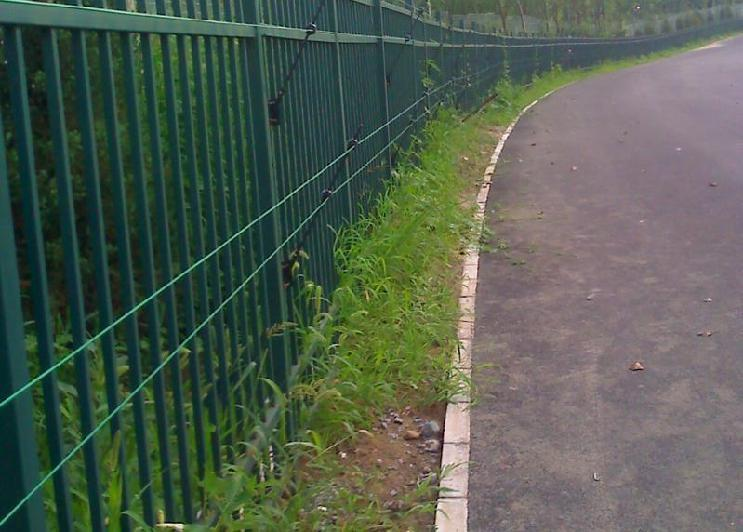 1741490305117592.png 1741490305117592.png