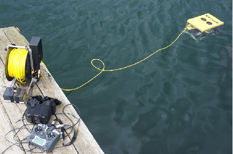 1741490768113500.png 1741490768113500.png